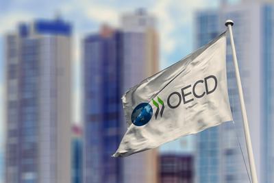 Флаг с логотипом ОЭСР